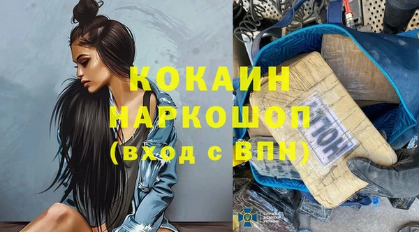 шишки Белоозёрский