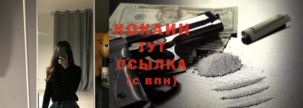 шишки Белоозёрский
