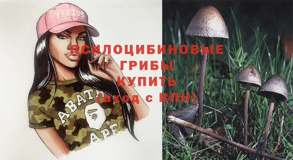 ешки Белокуриха