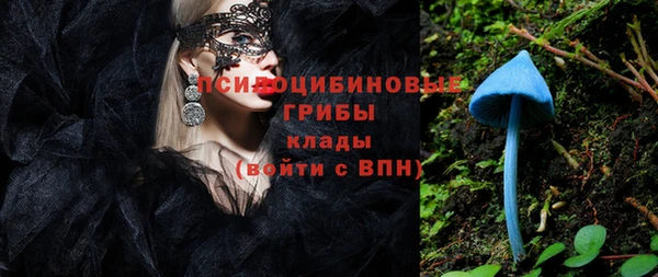 шишки Белоозёрский