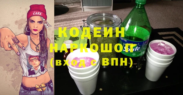 шишки Белоозёрский
