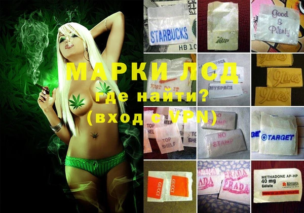 ешки Белокуриха