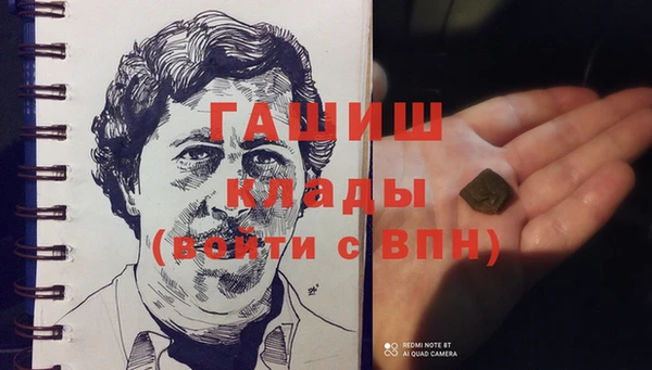 шишки Белоозёрский