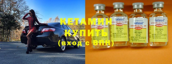 шишки Белоозёрский